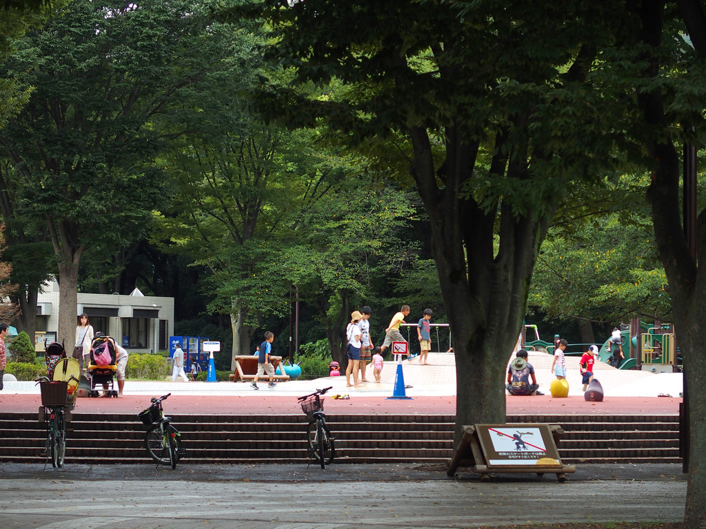 休日の公園