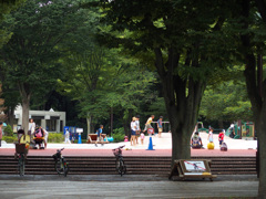 休日の公園