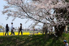 休み場所探索中