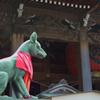 お狐様