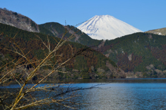湖と富士