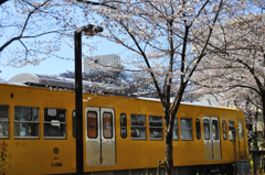 旧車両