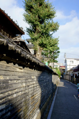 歴史の土塀