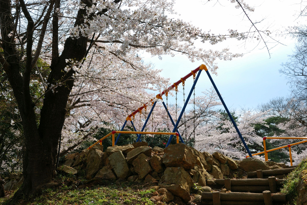 桜とブランコ