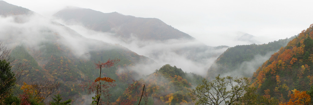雨の寸又峡2