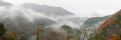 雨の寸又峡2