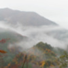 雨の寸又峡2