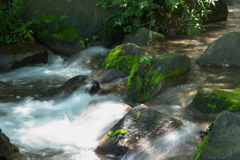 泡沫