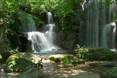 夏の涼