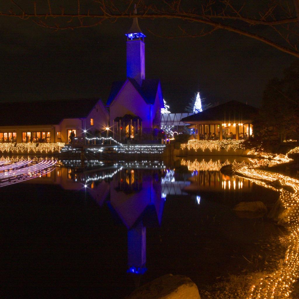 水上イルミネーション