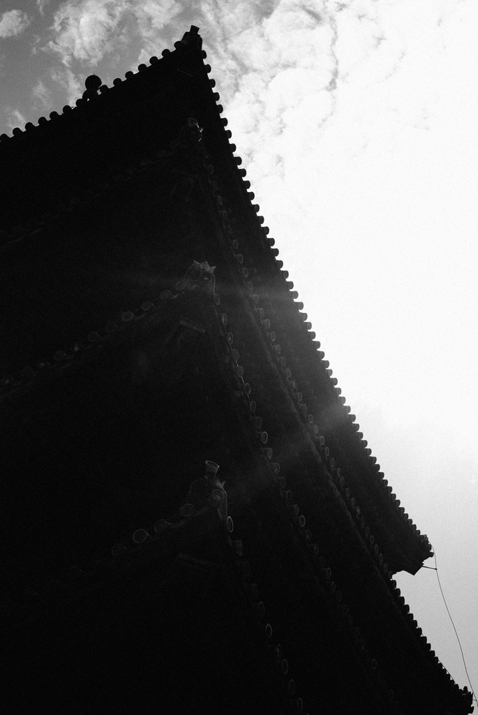 興福寺五重塔を見上げる