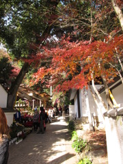 深大寺