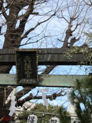 IMG_0483_R
