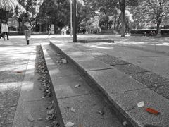 IMG_0012_R