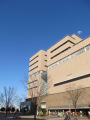 IMG_0603_R
