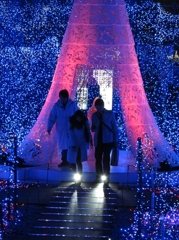 hikari