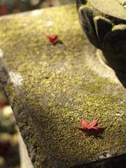 紅葉