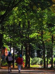 IMG_0033_R