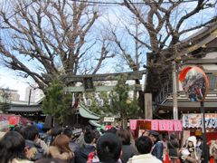 IMG_0482_R