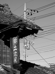 IMG_0565_R
