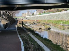 IMG_0658_R