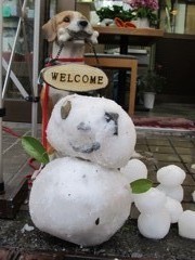 IMG_0728_R