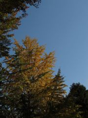 IMG_0053_R