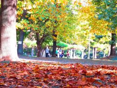 IMG_0037_R