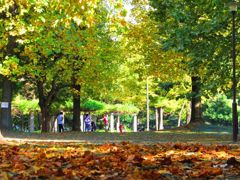 IMG_0038_R