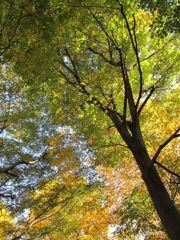 IMG_0035_R
