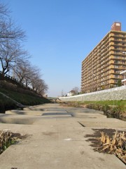 IMG_0660_R