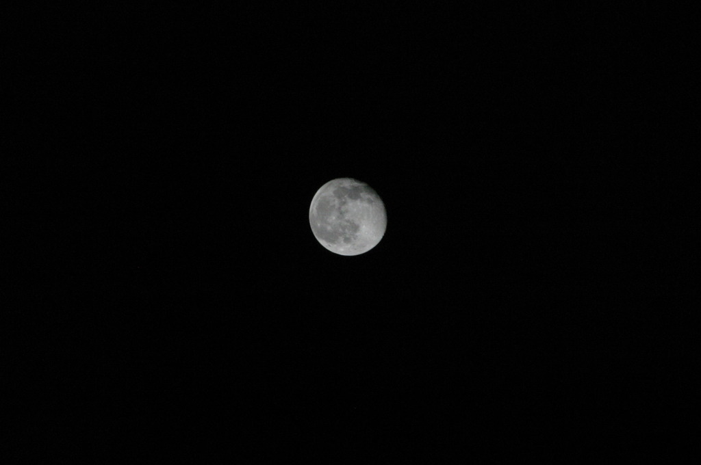 １８夜