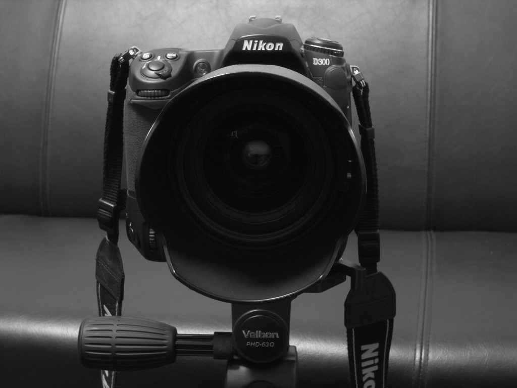 D300