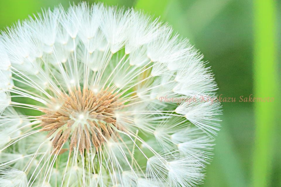 写真 2014-04-16 10 13 57