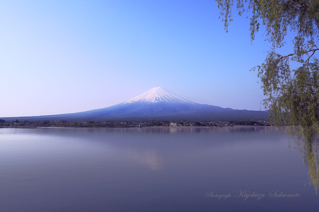 河口湖から見た富士山