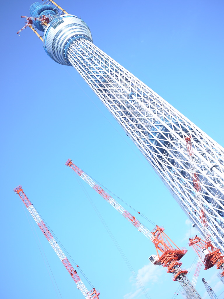 東京スカイツリー。