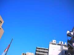 あおがいっぱい。