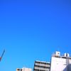 あおがいっぱい。