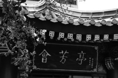 横浜中華街６