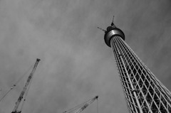 Tokyo Sky Tree 3