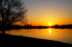 Rising sun 2