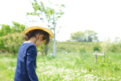 草原をお散歩