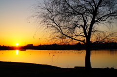 Rising sun 1