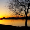 Rising sun 1