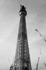 Tokyo Sky Tree 1
