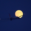 fly to the moon