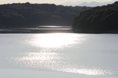 狭山湖10