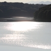 狭山湖10
