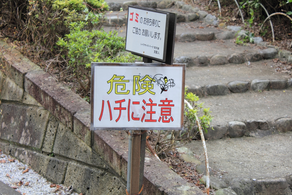 宮沢湖8