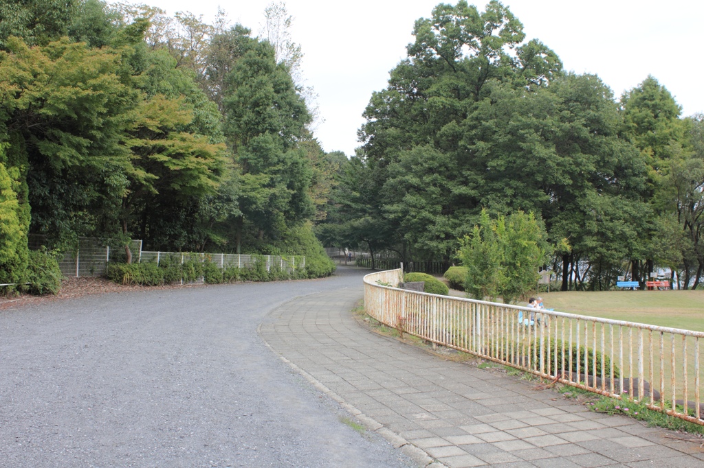 宮沢湖33